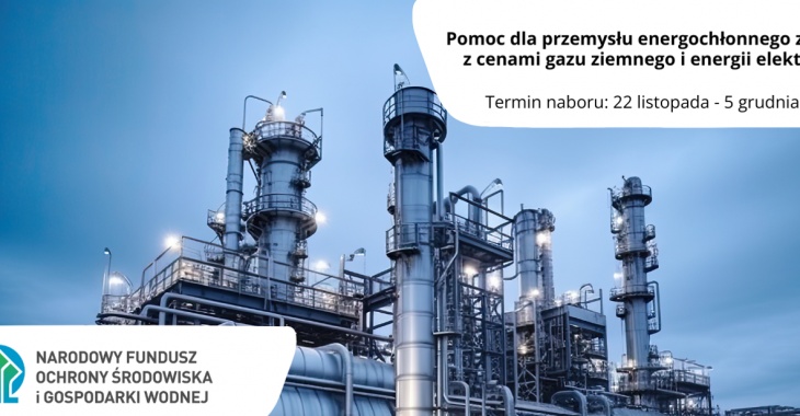 Ruszył nabór wniosków w rządowym programie wsparcia przemysłu energochłonnego