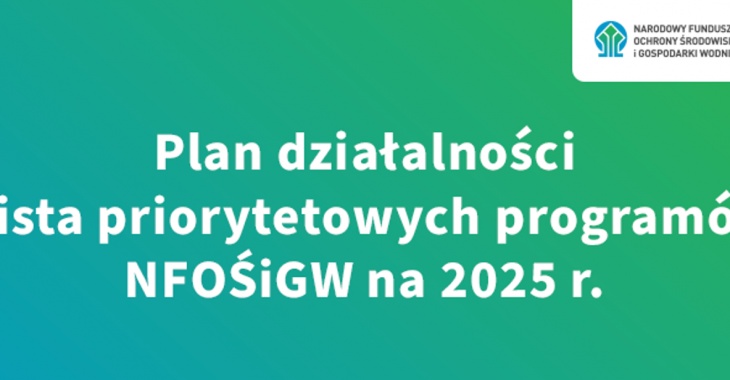 Nowa strategia, nowe programy – plany NFOŚiGW na 2025 r.