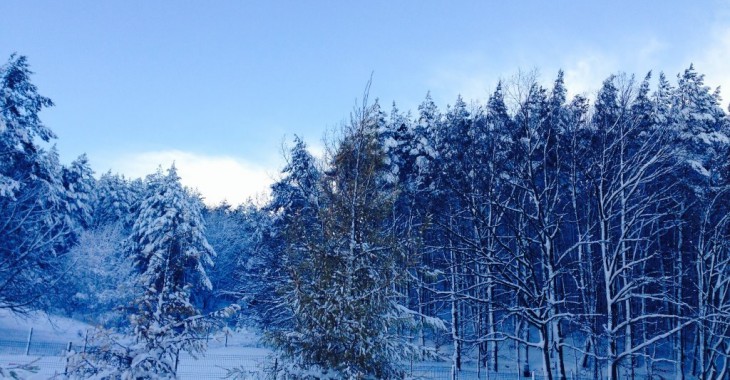 Fortum: Przygotowania do sezonu zimowego w Zabrzu i Bytomiu