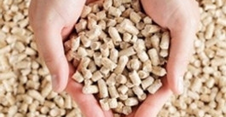 Europa zużywa 4 razy więcej pelletu niż reszta świata łącznie