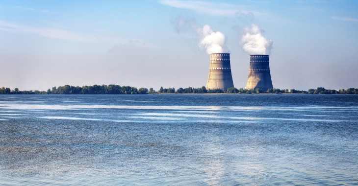 Polska elektrownia atomowa. Martwa ryba na brzegu Bałtyku