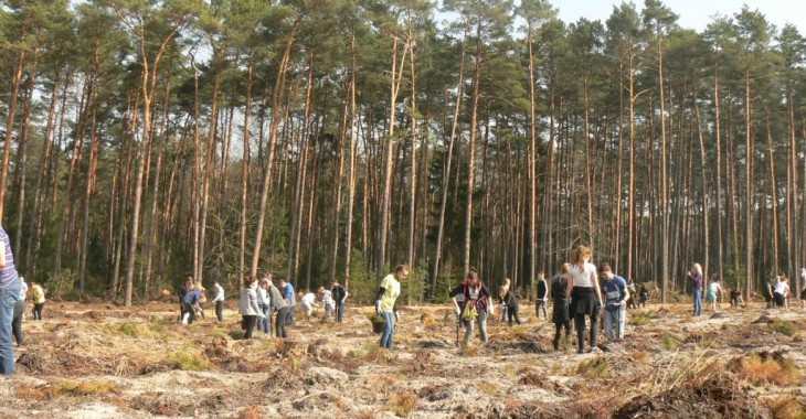 Grupa PGE posadziła ponad 100 tys. drzew na 100-lecie odzyskania niepodległości