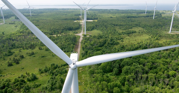 Enefit Green z grupy Eesti Energia przejmuje spółkę Nelja Energia