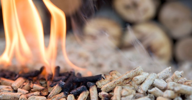 Fortum zwiększa łańcuch wartości biomasy