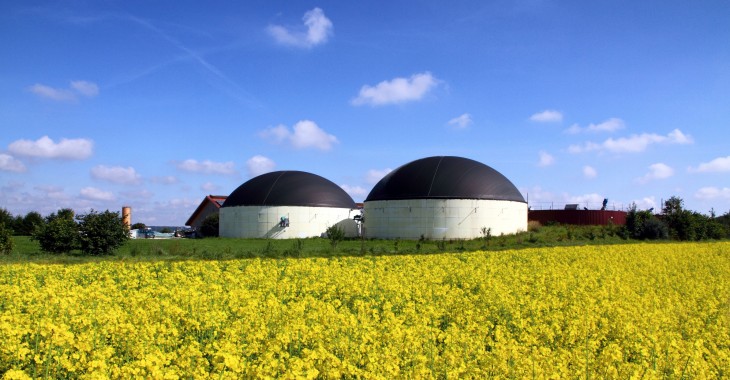 Webinarium BMP: Biogaz w energetyce