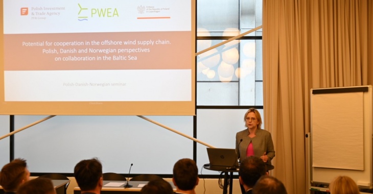 Minister klimatu i środowiska Anna Moskwa o polskiej energetyce wiatrowej na WindEurope w Danii